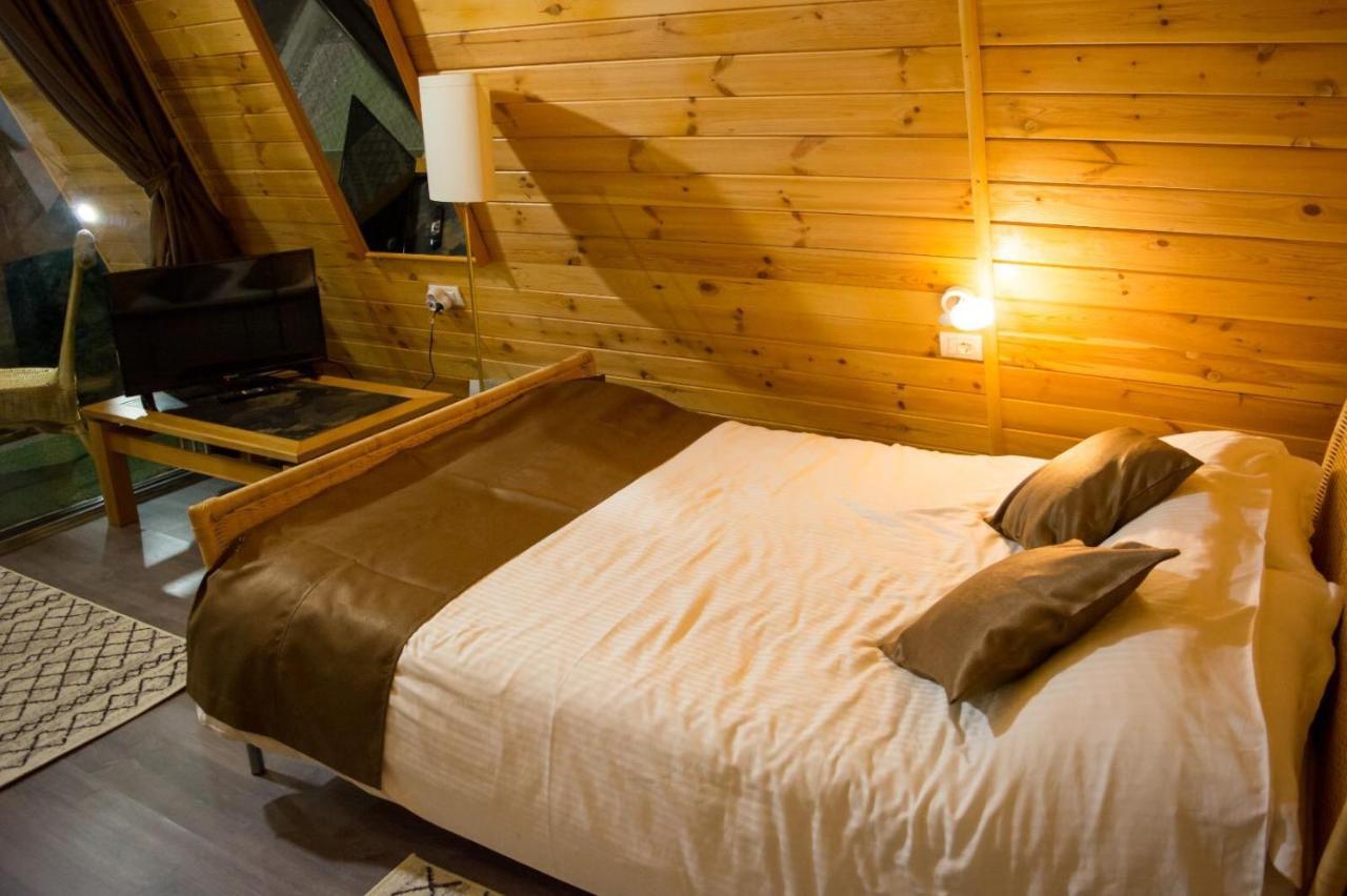 Hotel Casute Din Lemn Jiblea Veche Zewnętrze zdjęcie