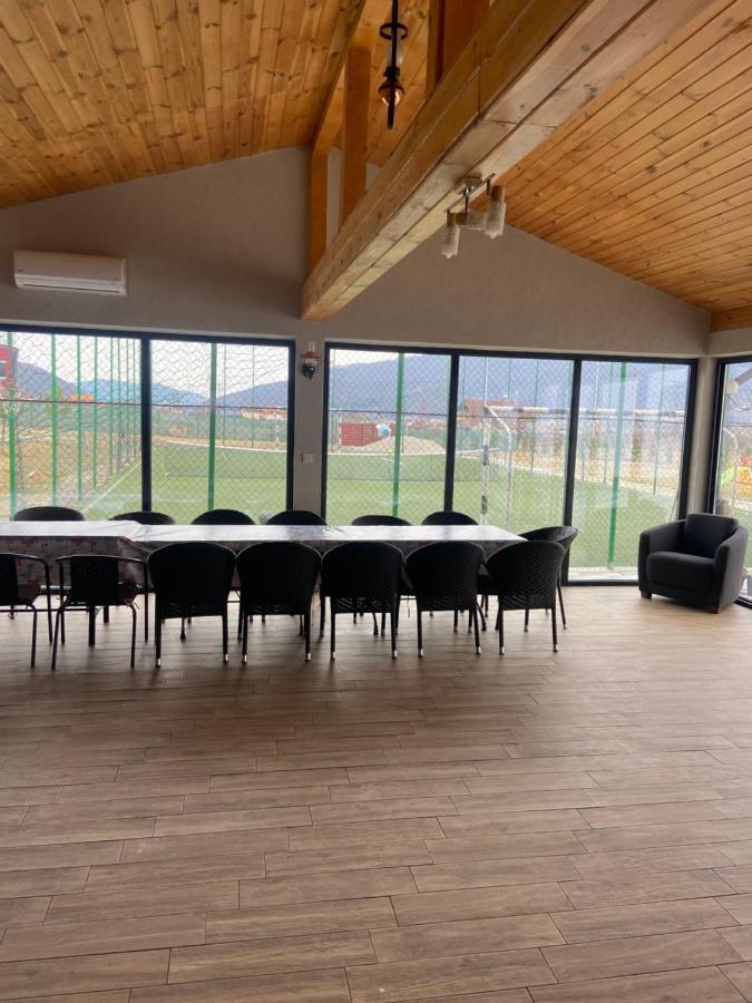Hotel Casute Din Lemn Jiblea Veche Zewnętrze zdjęcie